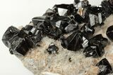 Lustrous Cassiterite Crystals On Quartz - Viloco Mine, Bolivia #192179-3